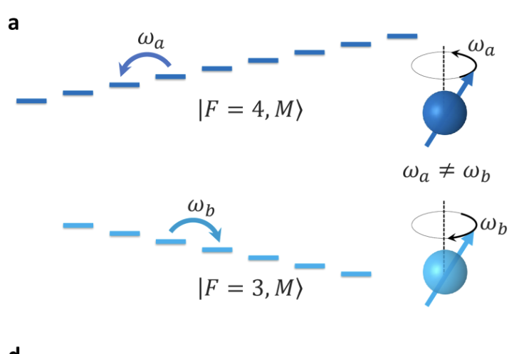 spin qubits